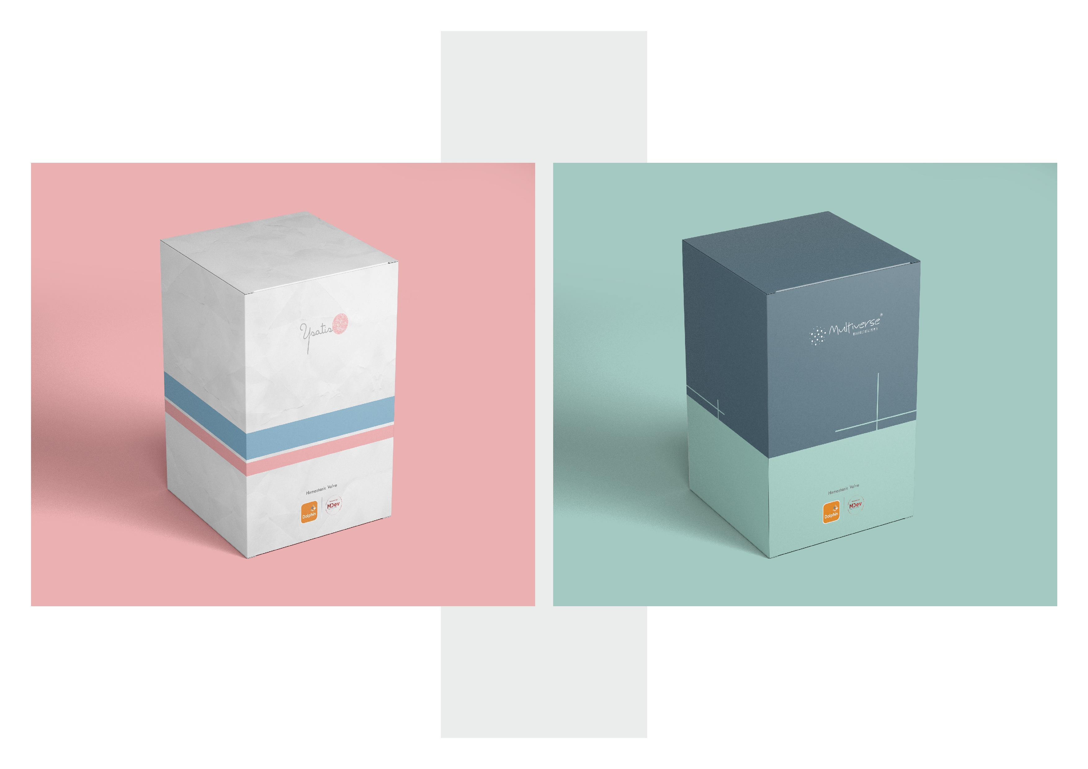 Brand Identity Design